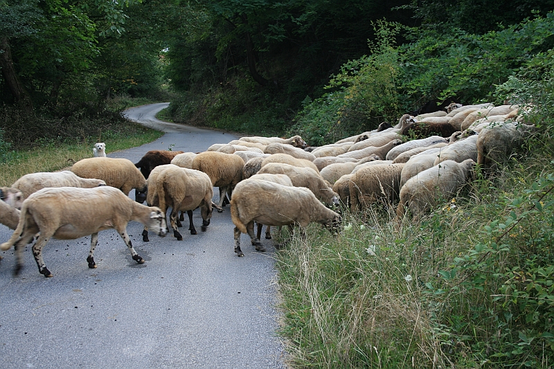 Bulgaria 2008 121